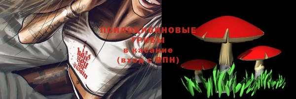 МДПВ Богородицк