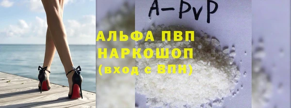 стафф Богданович