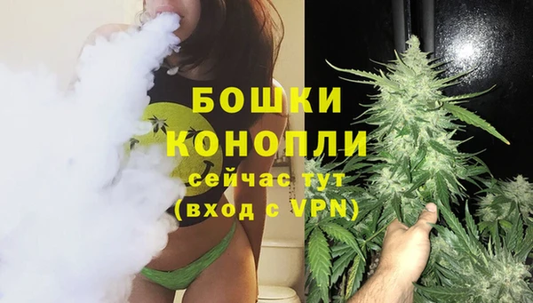 МДПВ Богородицк