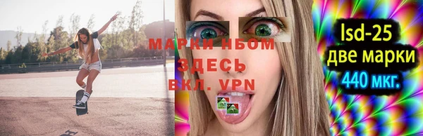 стафф Богданович
