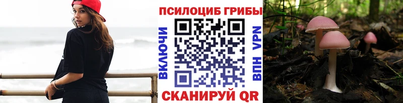 наркошоп Сосногорск Галлюциногенные грибы прущие грибы
