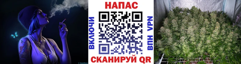 Бошки марихуана марихуана  наркота  Сосногорск 